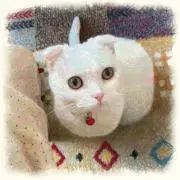 suzu_ko.