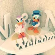 まきの画像