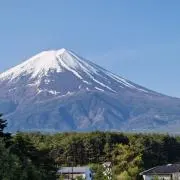 えび花子の画像