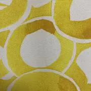ルーの画像