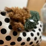 セレクトショップ ＴＲＯの画像