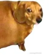 坊の画像