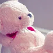 shi-chan プロフ読んで下さい。の画像