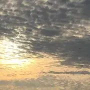 ゴンザの画像