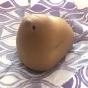 ネムイの画像