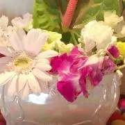Maa