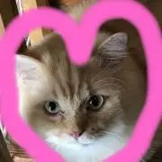 サチ☆の画像