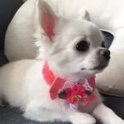カナブン