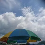 brdyaの画像
