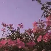 *プロフ絶読*