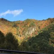 Dの画像