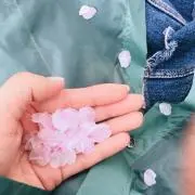 YUの画像