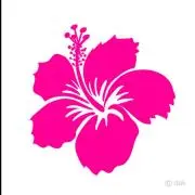 あさの56の画像