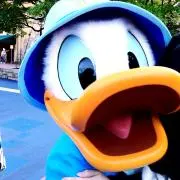 断捨離中★どなるどん★の画像