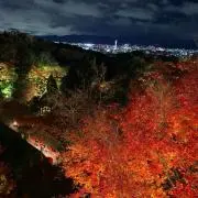 キー坊の画像