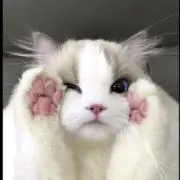 マリんの画像