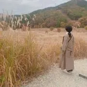 maa
