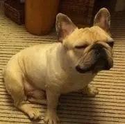 ばぁば