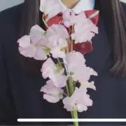 パレットの画像