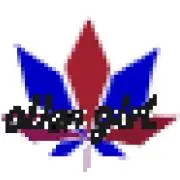 ハイ皿 レッド high皿 肺皿 小物入れ 肺の灰皿 - メルカリ