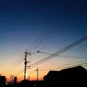 T/I (6/6〜6/14まで発送不可)の画像