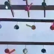 らんの画像