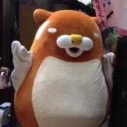 まゆだま