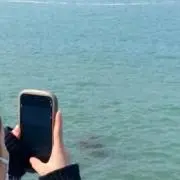 つづ