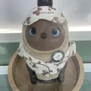 賢ちゃんの画像