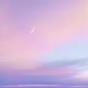 pnの画像