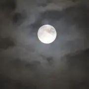 모모어の画像
