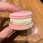 ヌの画像