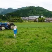 寒ブリ