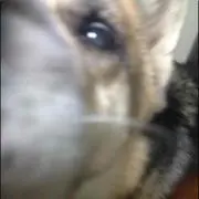 ひろじ