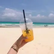 ななみの画像