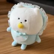 ネコまる吉の画像