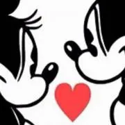 ニコの画像