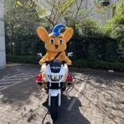 mikkoの画像