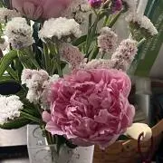 からっぽ