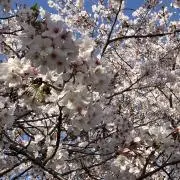 みまみまの画像