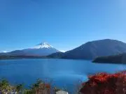 ゆず