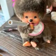 もちゃんの画像
