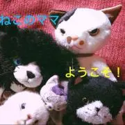 ねこのママ