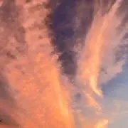 ラフタの画像