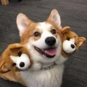 おいのすけの画像