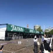 ウイングの画像