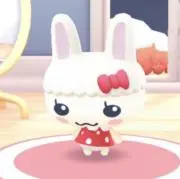 momoの画像