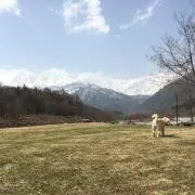 Lindayの画像