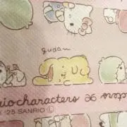 ぽむの画像