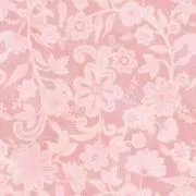 ぴぐの画像